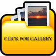 Photo Gallery Icon